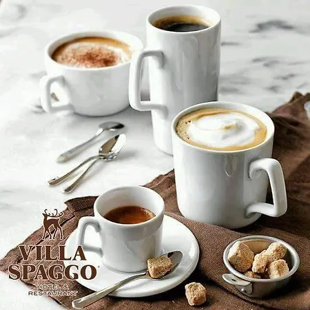 Spaggo 2* Bistritsa (Sofia)