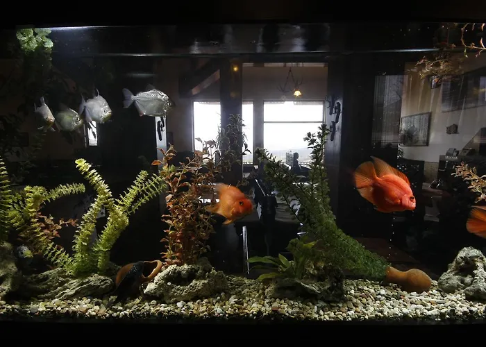 Spaggo Semesteranläggning (resort)