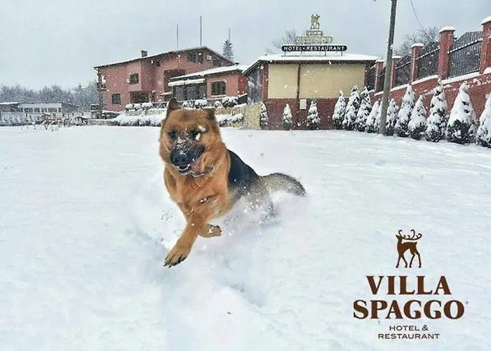 Semesteranläggning (resort) Spaggo 2*